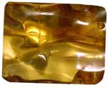 amber organic gem stone